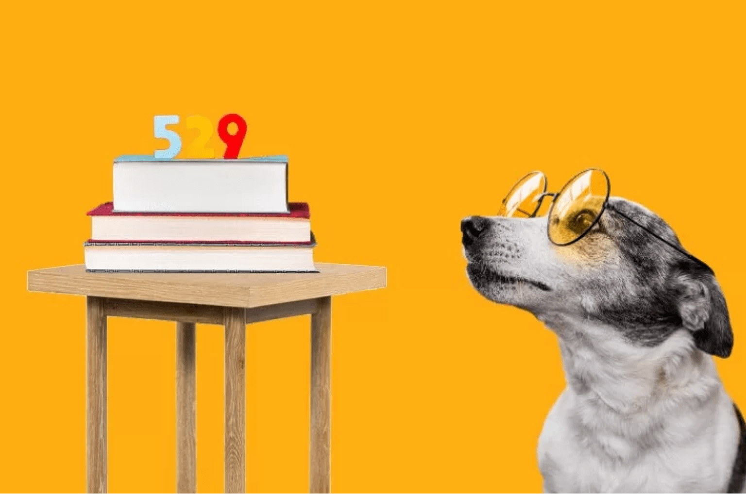 Secure Your Childs Educational Future By Investing In 529 College Savings Plan
