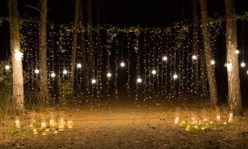 Fairy Lights Magic