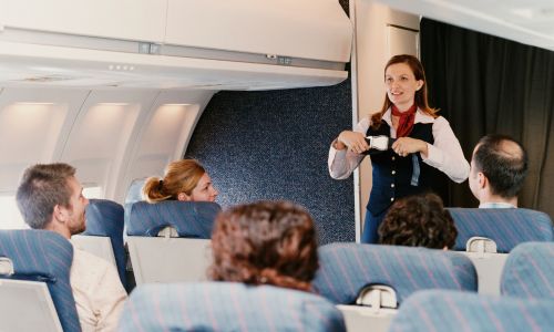 Flight Attendant