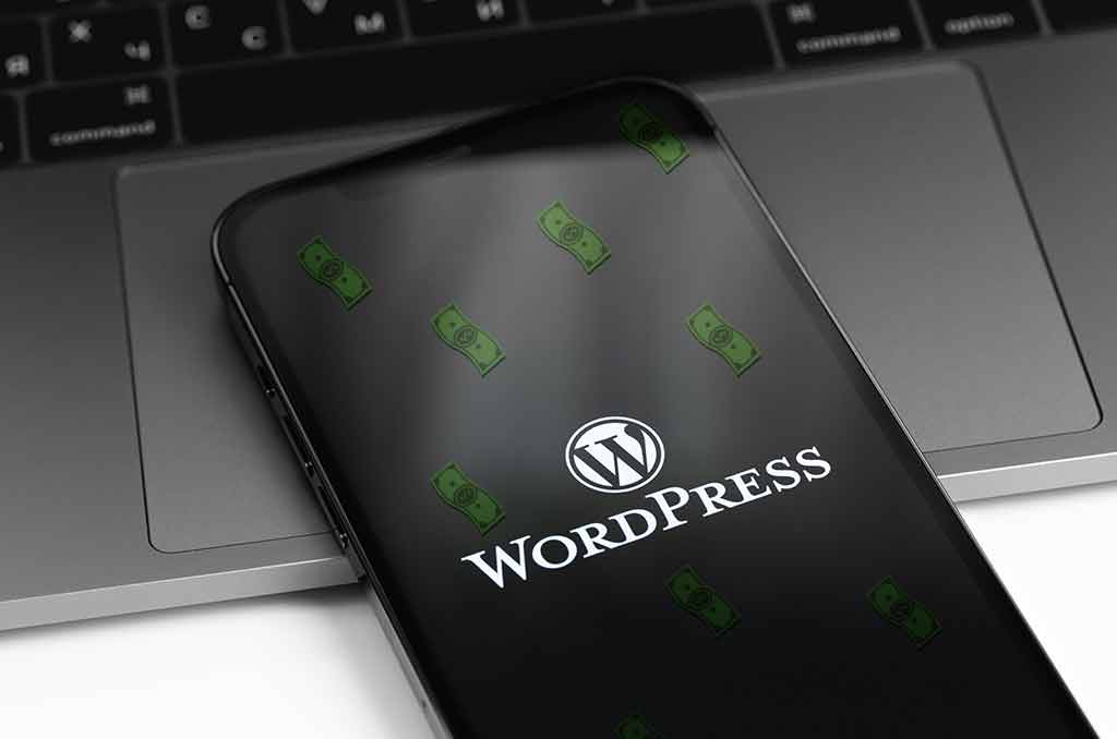 How to Make Money with WordPress in 48 hours