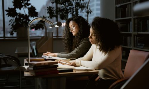 Librarian or Library Assistant
