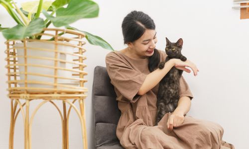 Pet-Sitting Business