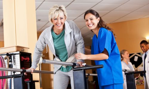 Physical Therapist