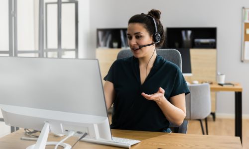 Virtual Assistant (VA)